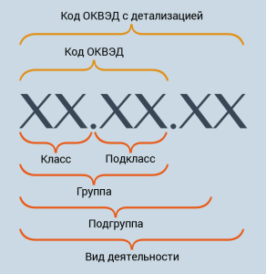 Как выбрать коды ОКВЭД для ИП и ООО | Портал малого и среднего  предпринимательства РС(Я)